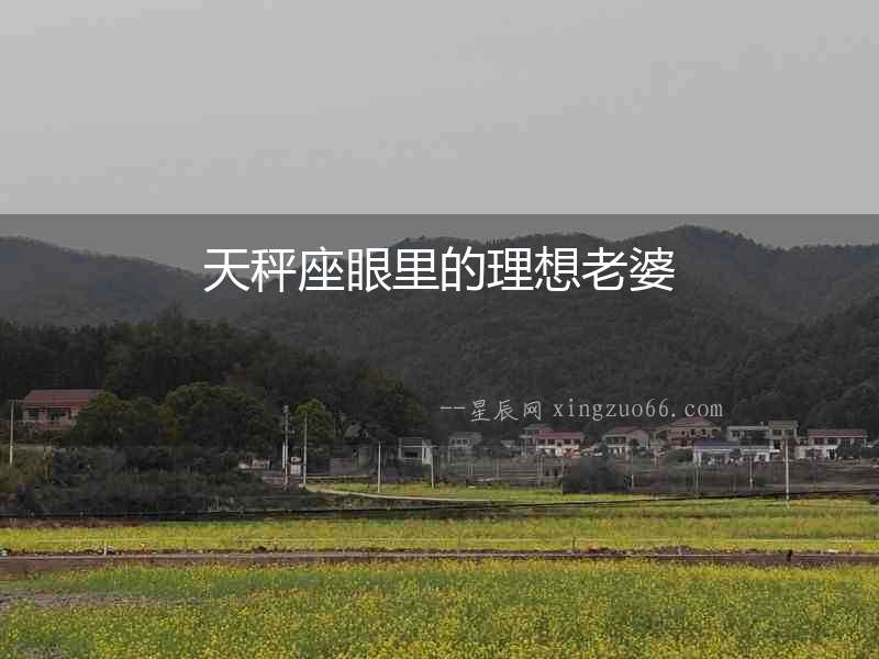 天秤座眼里的理想老婆