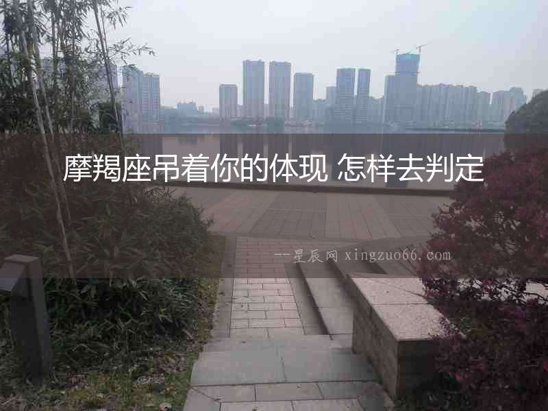 摩羯座吊著你的體現(xiàn) 怎樣去判定