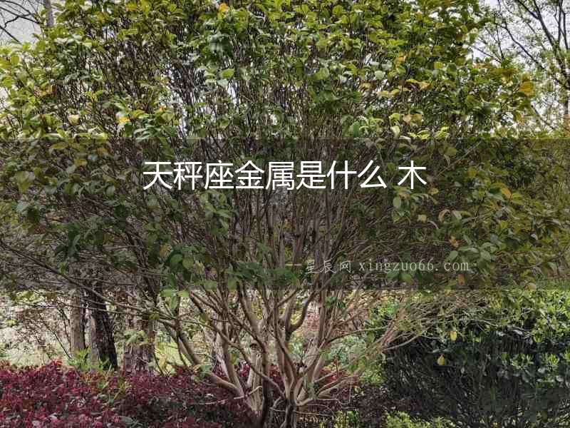 天秤座金屬是什么 木