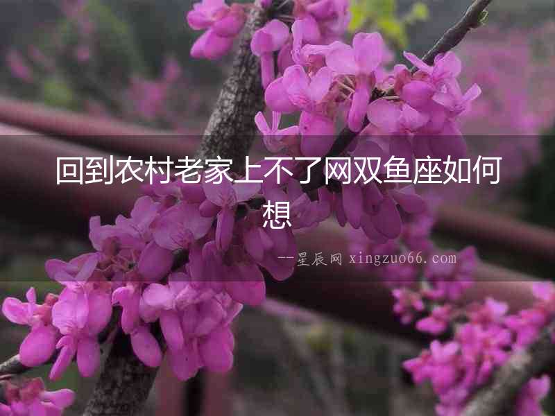 回到農(nóng)村老家上不了網(wǎng)雙魚座如何想