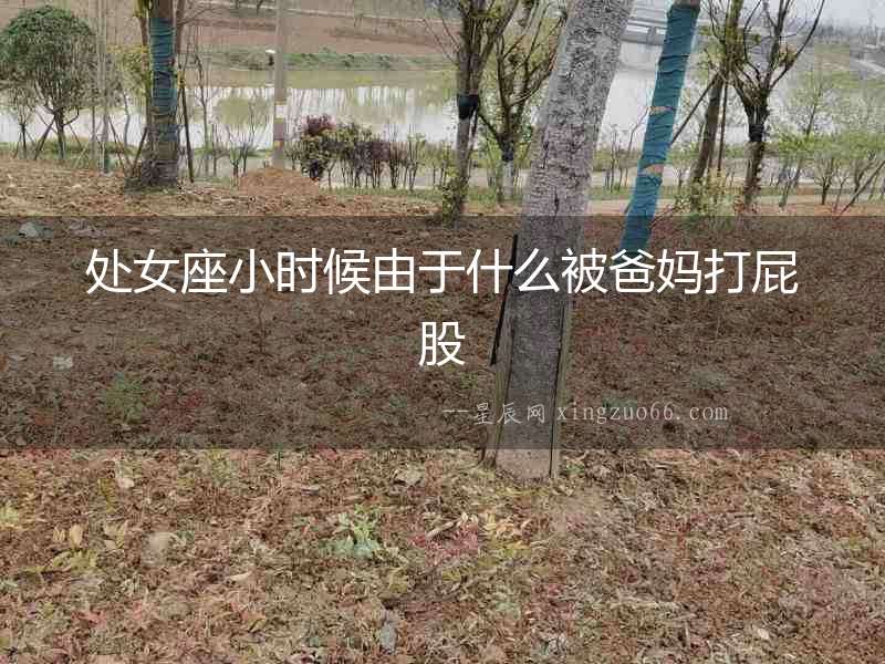 處女座小時(shí)候由于什么被爸媽打屁股