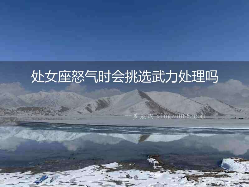 處女座怒氣時會挑選武力處理嗎