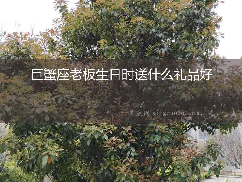 巨蟹座老板生日時(shí)送什么禮品好