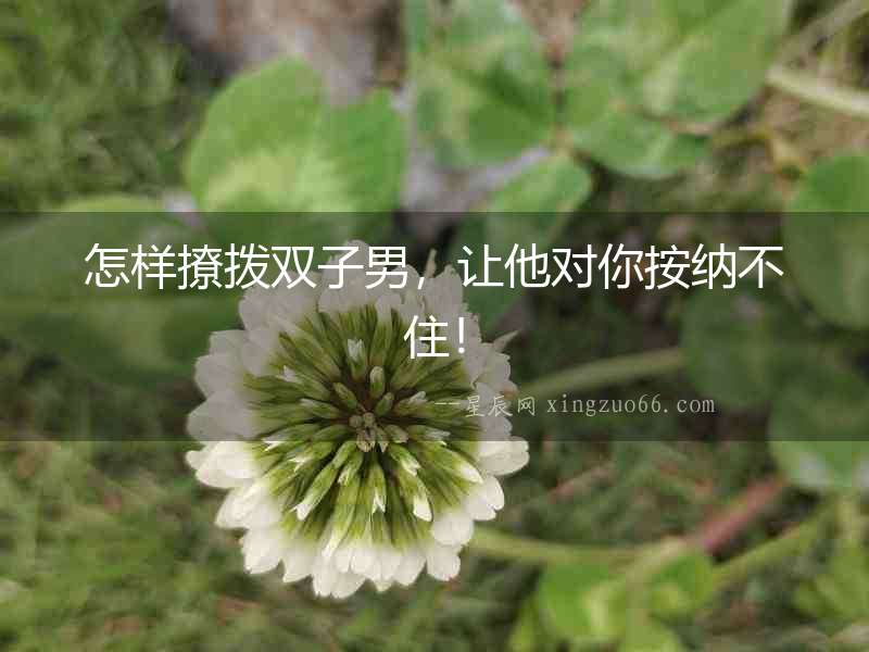 怎樣撩撥雙子男，讓他對(duì)你按納不??！