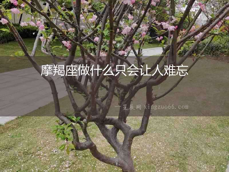 摩羯座做什么只會讓人難忘