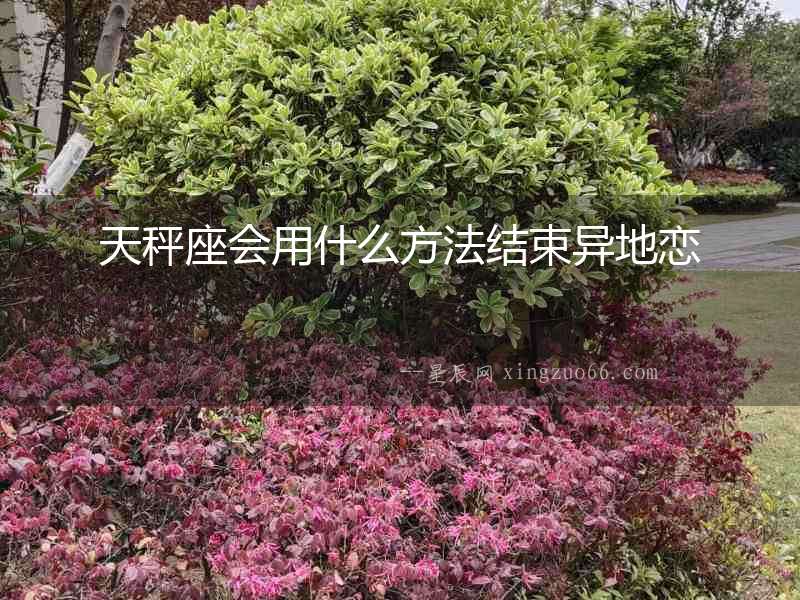 天秤座會(huì)用什么方法結(jié)束異地戀
