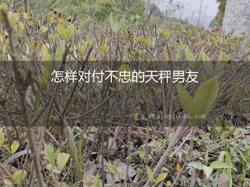 怎樣對付不忠的天秤男友