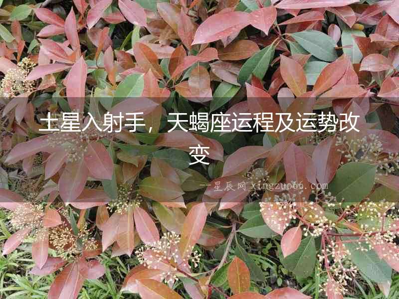 土星入射手，天蝎座運程及運勢改變