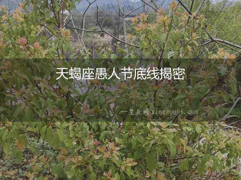 天蝎座愚人節(jié)底線揭密