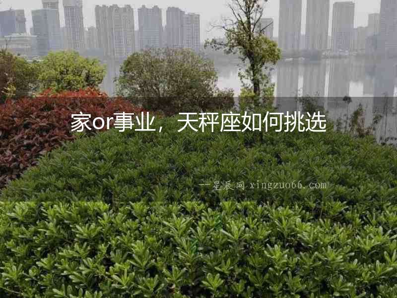 家or事業，天秤座如何挑選