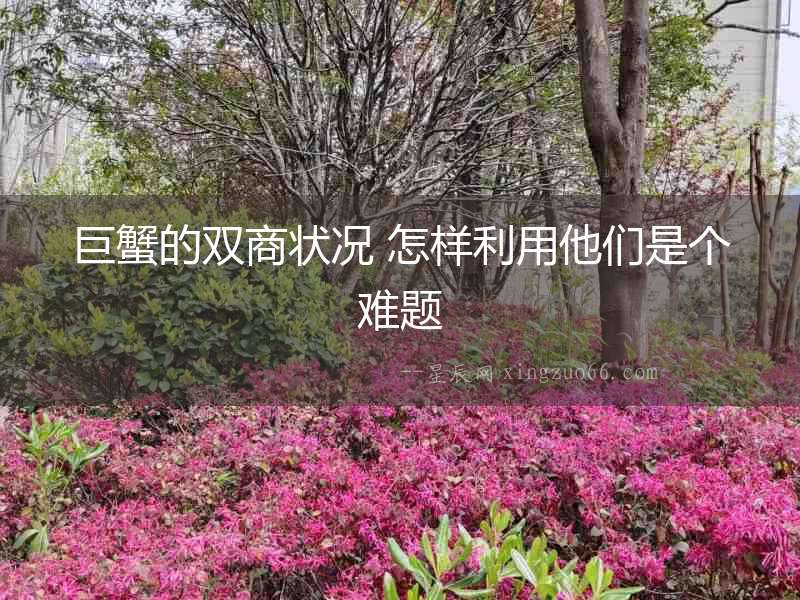 巨蟹的雙商狀況 怎樣利用他們是個難題