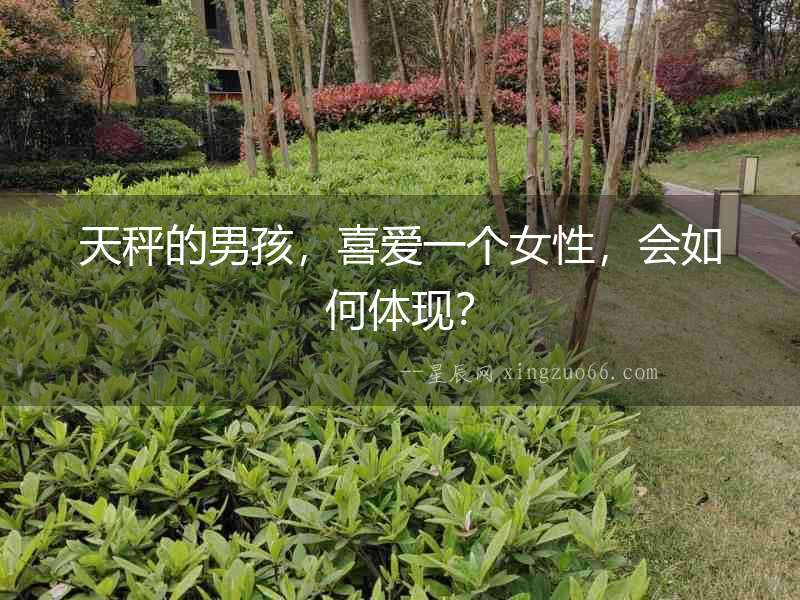 天秤的男孩，喜愛一個女性，會如何體現？
