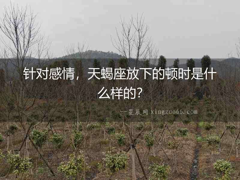 針對感情，天蝎座放下的頓時是什么樣的？