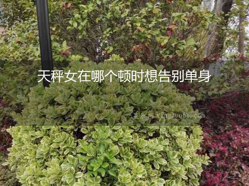 天秤女在哪個頓時想告別單身