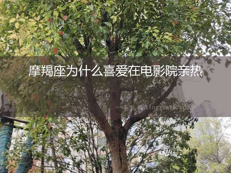 摩羯座為什么喜愛在電影院親熱