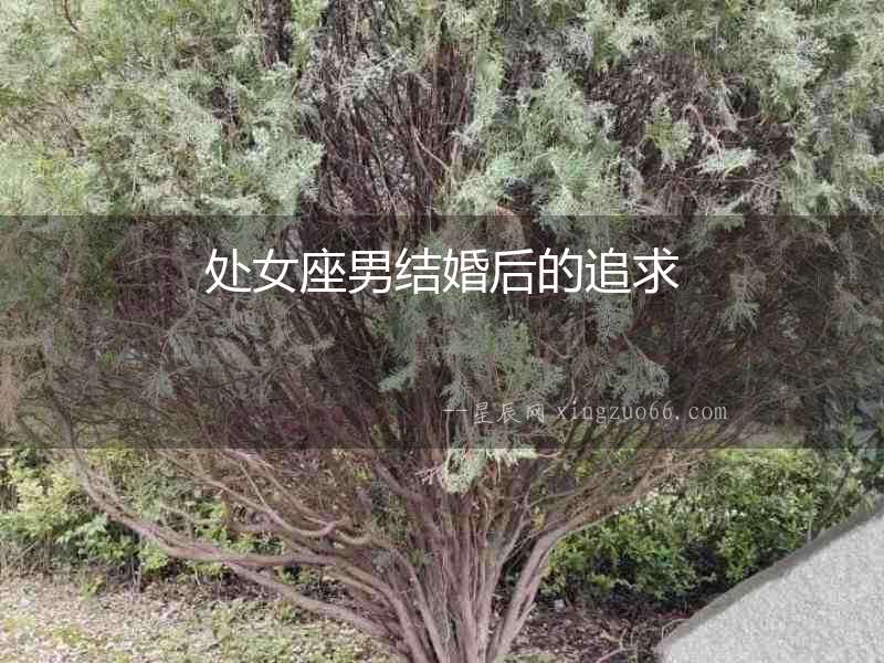 處女座男結婚后的追求
