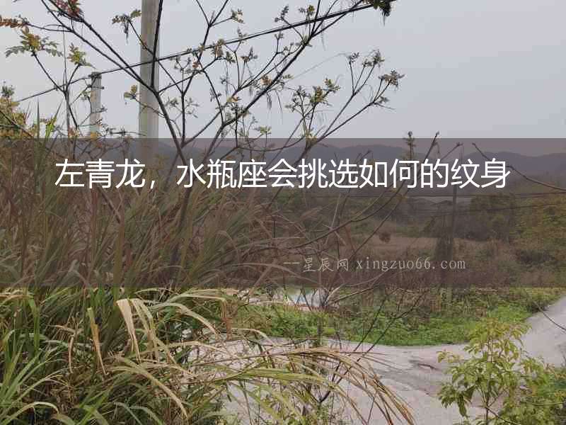 左青龍，水瓶座會挑選如何的紋身