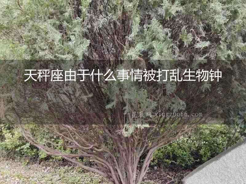 天秤座由于什么事情被打亂生物鐘