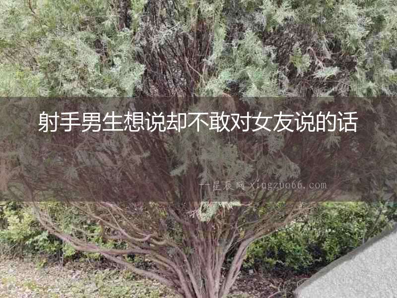 射手男生想說(shuō)卻不敢對(duì)女友說(shuō)的話(huà)