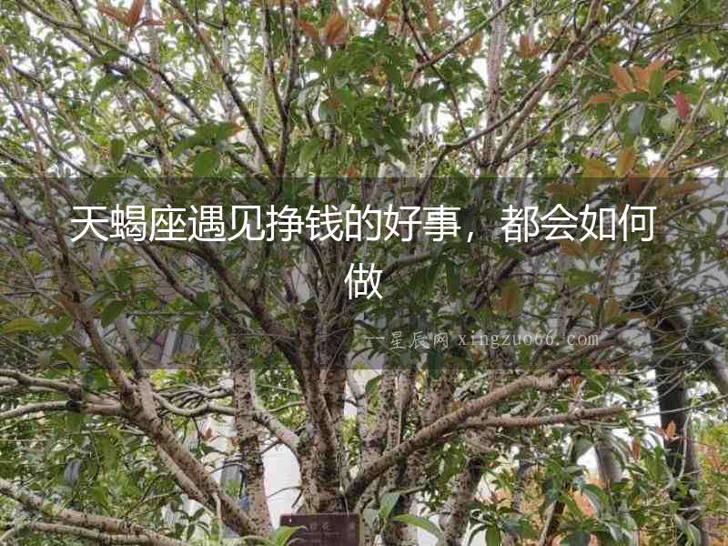 天蝎座遇見掙錢的好事，都會如何做