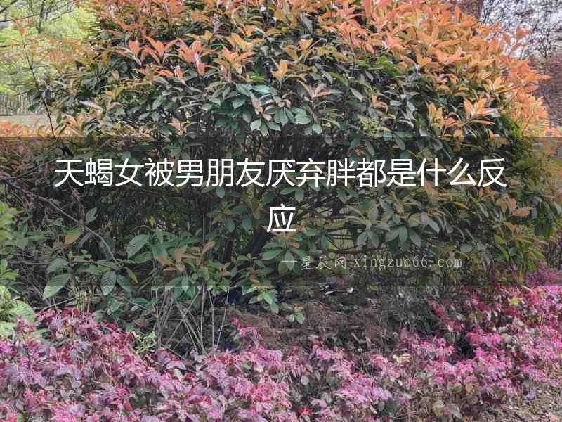 天蝎女被男朋友厭棄胖都是什么反應