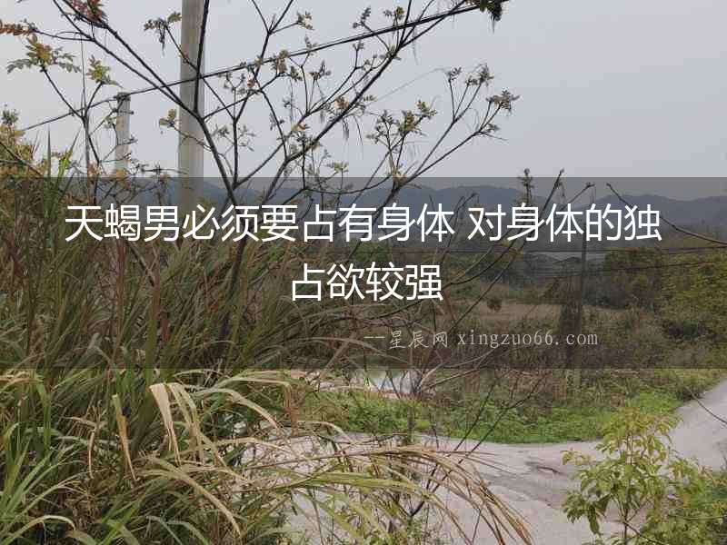 天蝎男必須要占有身體 對(duì)身體的獨(dú)占欲較強(qiáng)