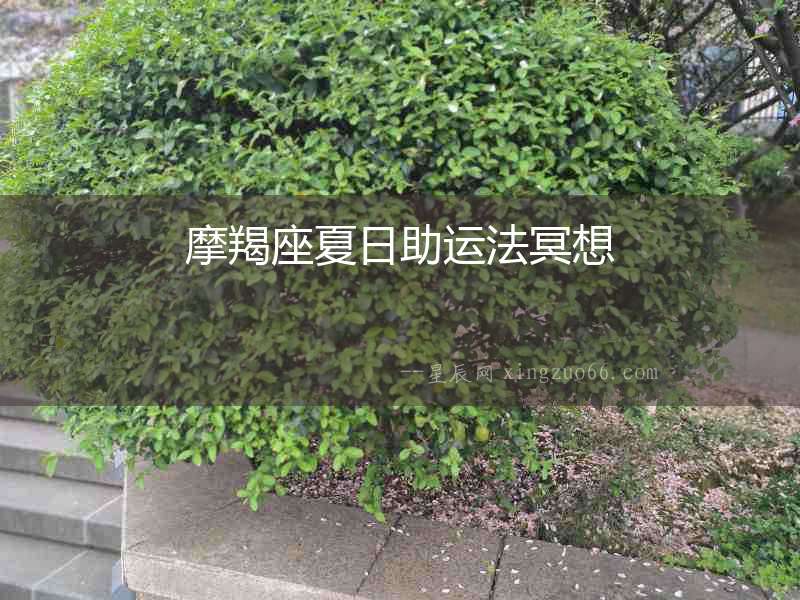 摩羯座夏日助運(yùn)法冥想