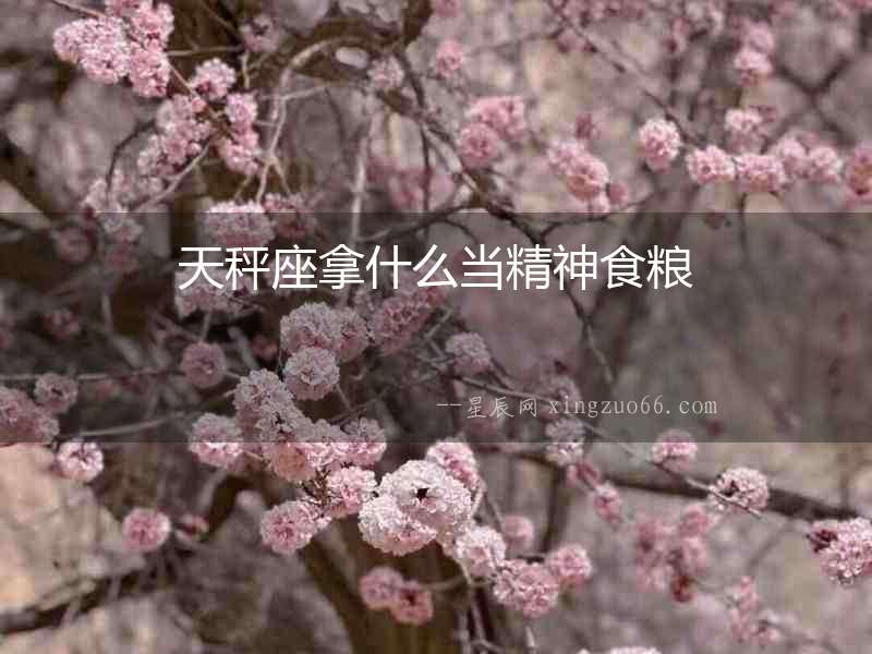 天秤座拿什么當精神食糧