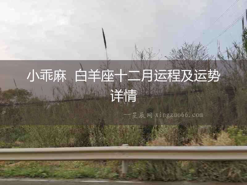 小乖麻  白羊座十二月運(yùn)程及運(yùn)勢詳情