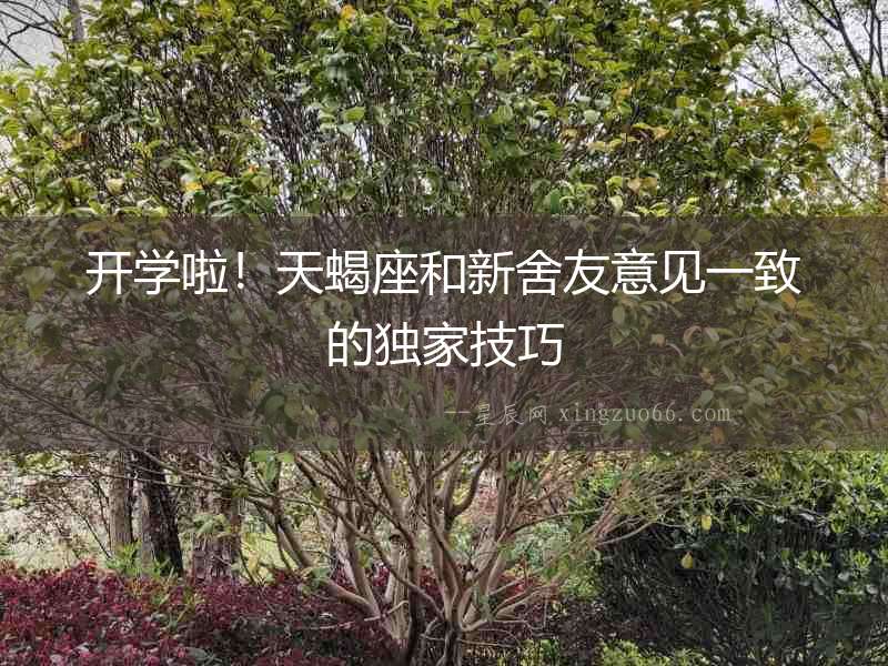 開學啦！天蝎座和新舍友意見一致的獨家技巧