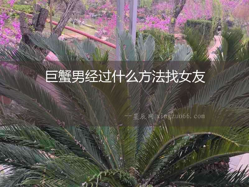 巨蟹男經(jīng)過什么方法找女友