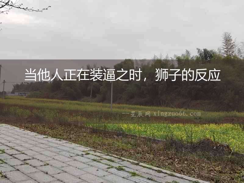 當他人正在裝逼之時，獅子的反應