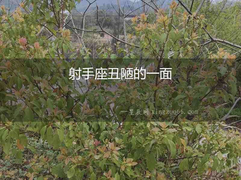 射手座丑陋的一面