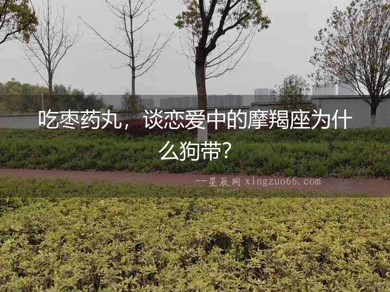 吃棗藥丸，談戀愛中的摩羯座為什么狗帶？