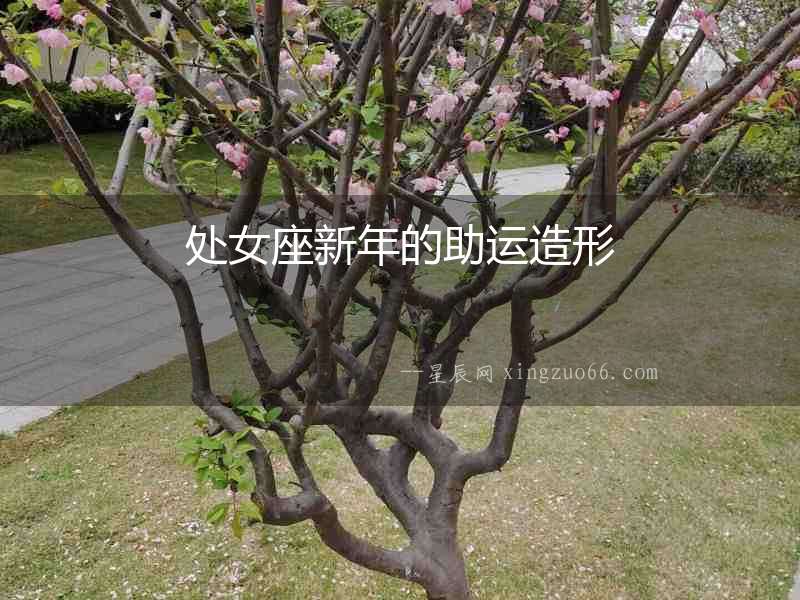 處女座新年的助運(yùn)造形