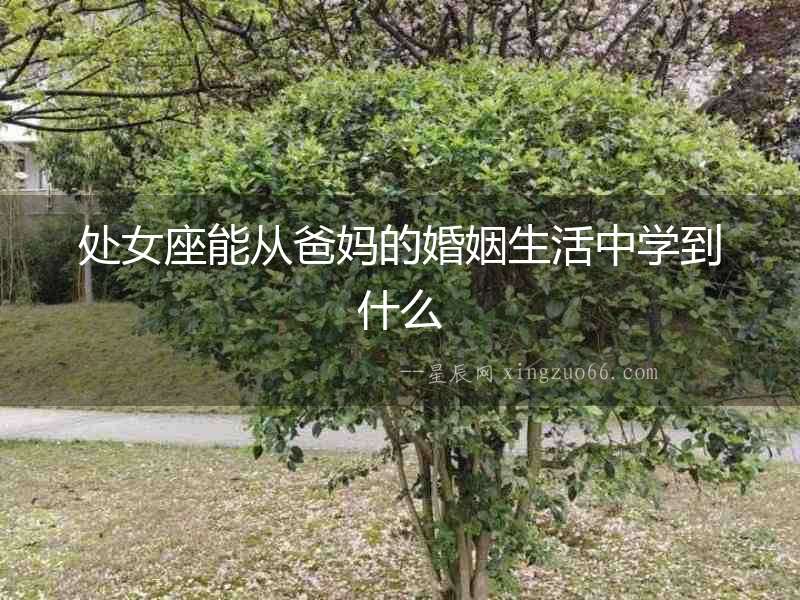 處女座能從爸媽的婚姻生活中學到什么