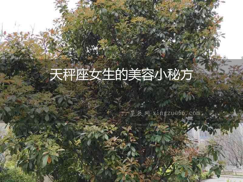 天秤座女生的美容小秘方