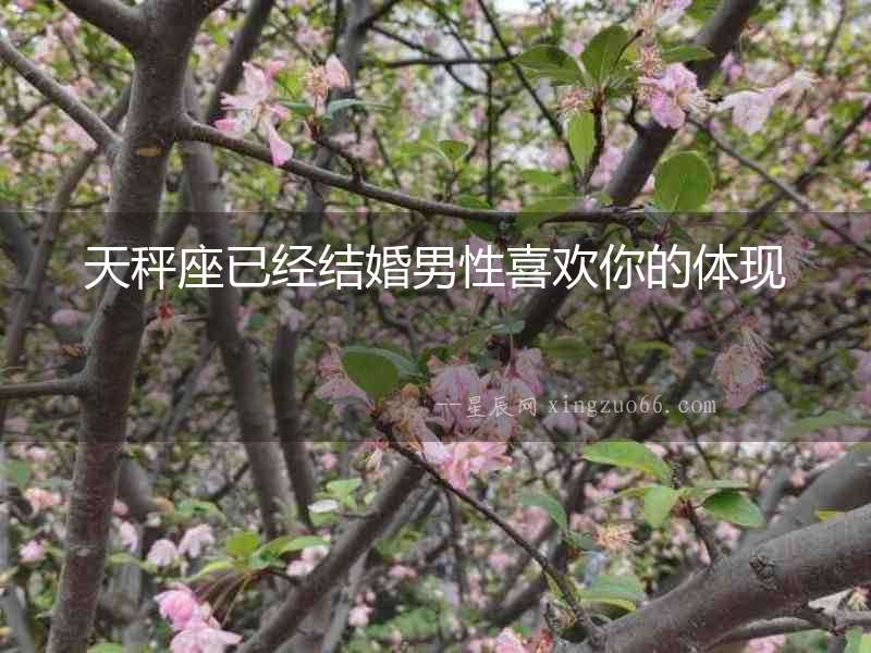 天秤座已經結婚男性喜歡你的體現