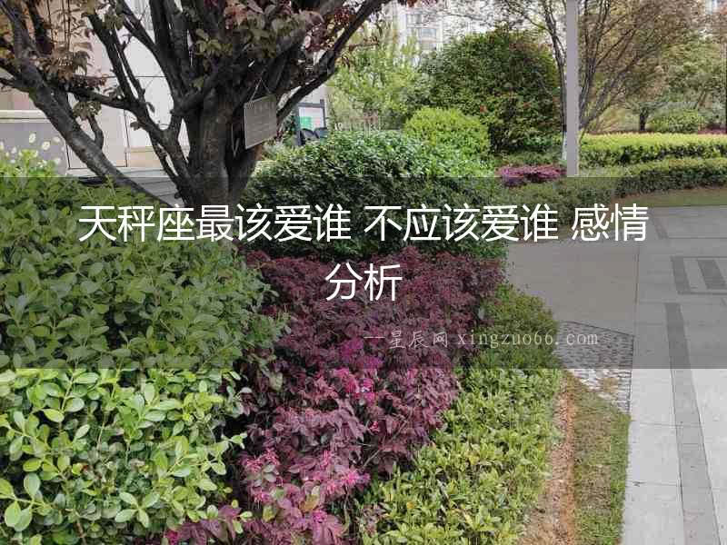 天秤座最該愛誰 不應該愛誰 感情分析