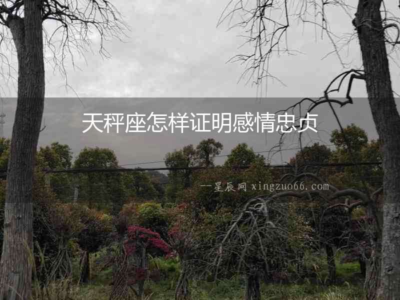 天秤座怎樣證明感情忠貞