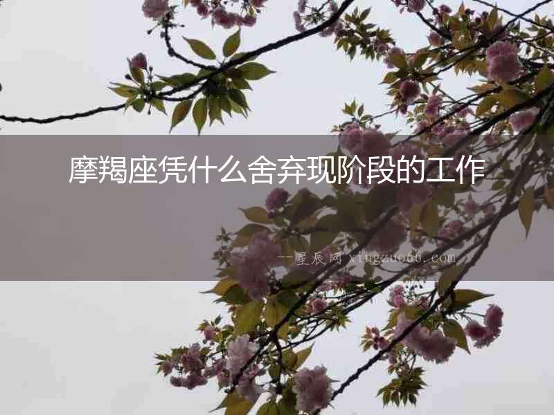 摩羯座憑什么舍棄現階段的工作