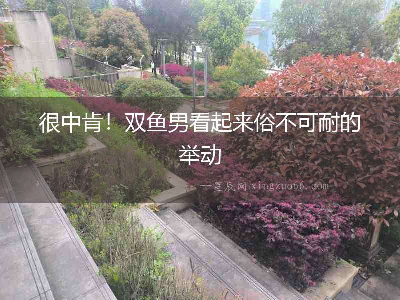 很中肯！雙魚男看起來俗不可耐的舉動