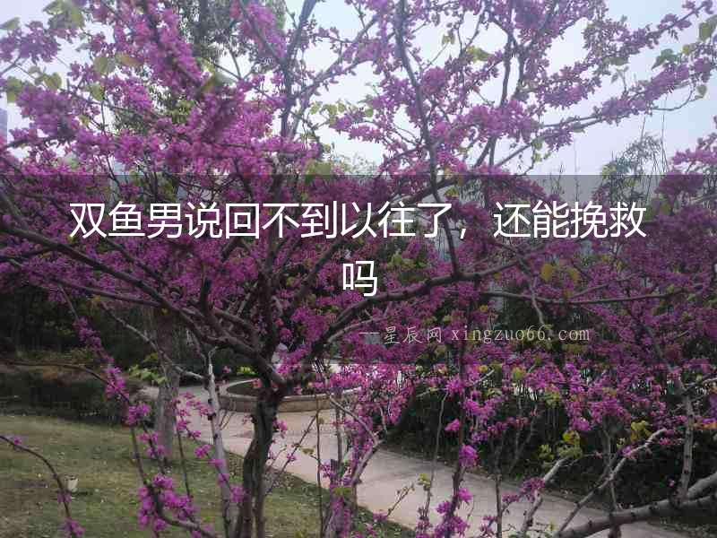 雙魚男說回不到以往了，還能挽救嗎