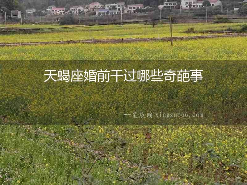 天蝎座婚前干過(guò)哪些奇葩事