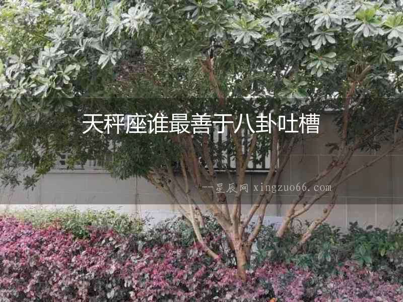 天秤座誰最善于八卦吐槽