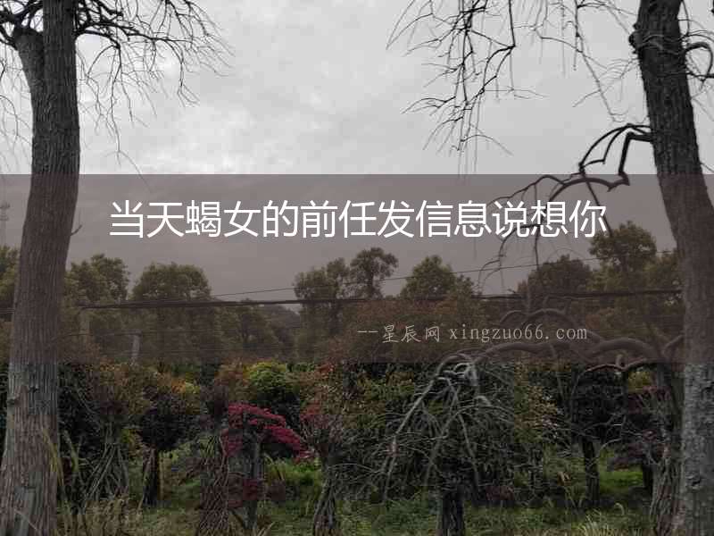 當天蝎女的前任發(fā)信息說想你