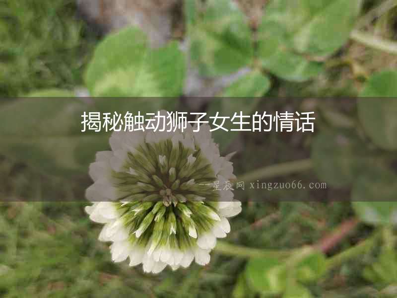 揭秘觸動獅子女生的情話