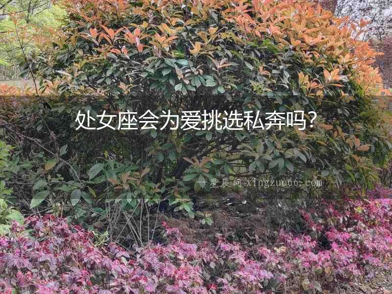 處女座會為愛挑選私奔嗎？