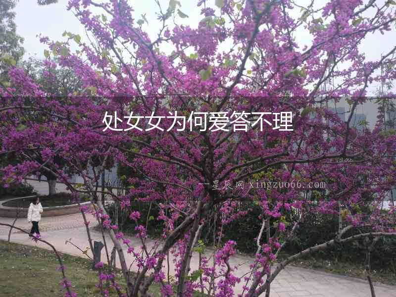 處女女為何愛答不理