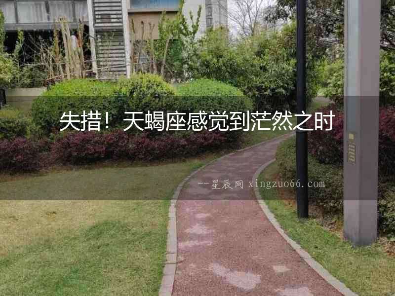 失措！天蝎座感覺到茫然之時
